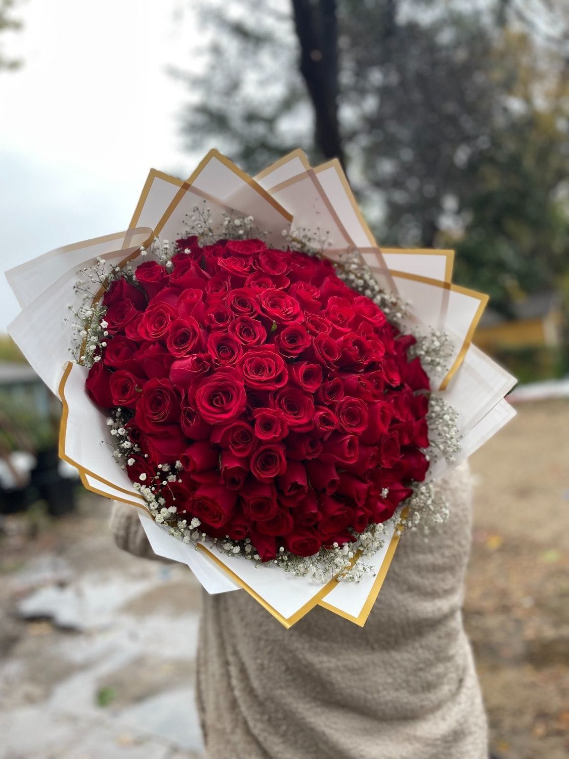 Buy Bouquet of 100 Roses Online | Maps Flowers