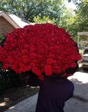 buchon bouquet of 300 roses😍🌹🌹😍